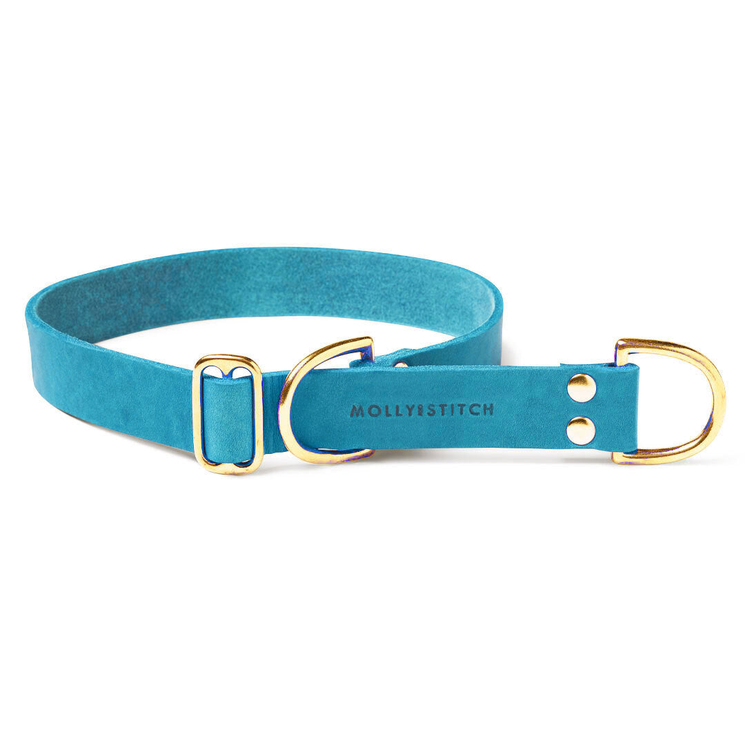 Collier en cuir Butter pour chien retriever - Bleu Fidji