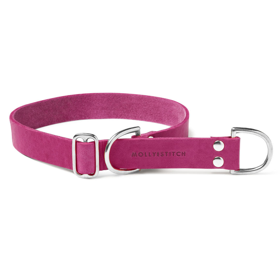 Butter Leather Retriever Hundehalsband - Flamingo