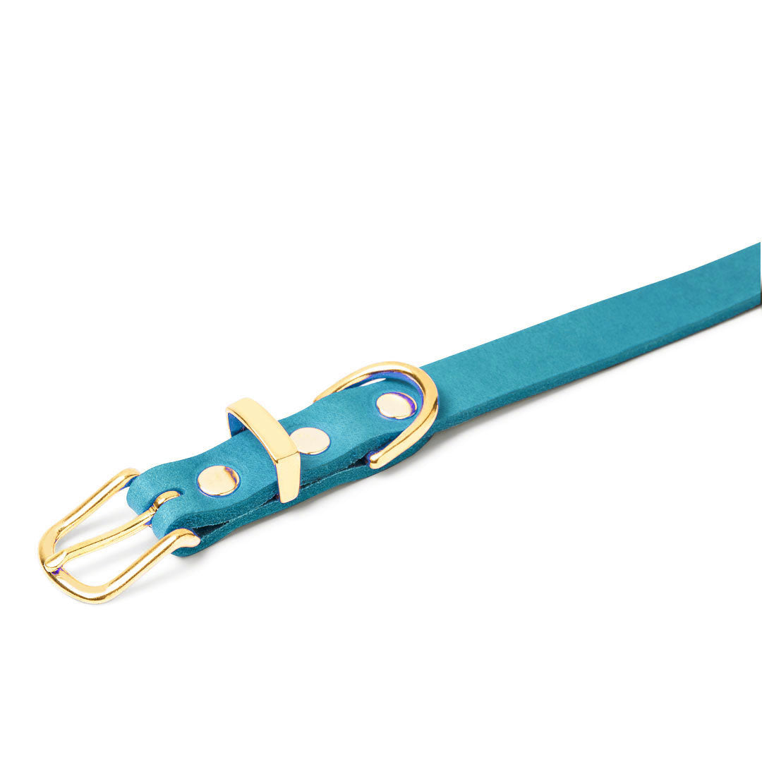 Butter Leder Hundehalsband - Fiji Blau