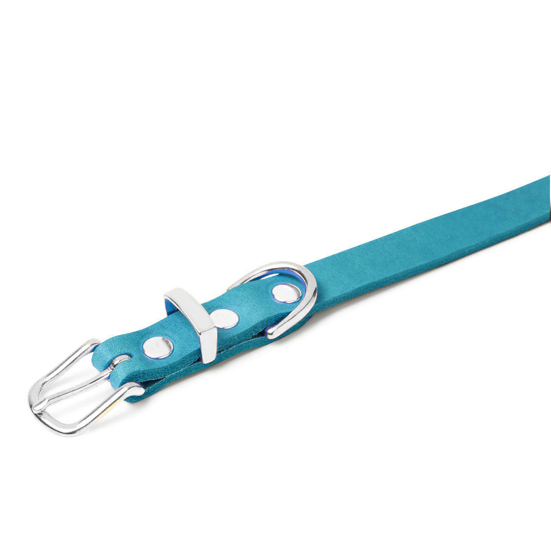 Butter Leder Hundehalsband - Fiji Blau