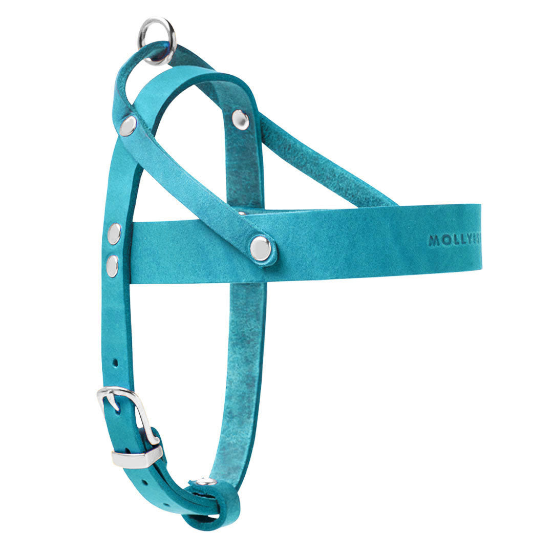 Butter Leder Hundegeschirr - Fiji Blau