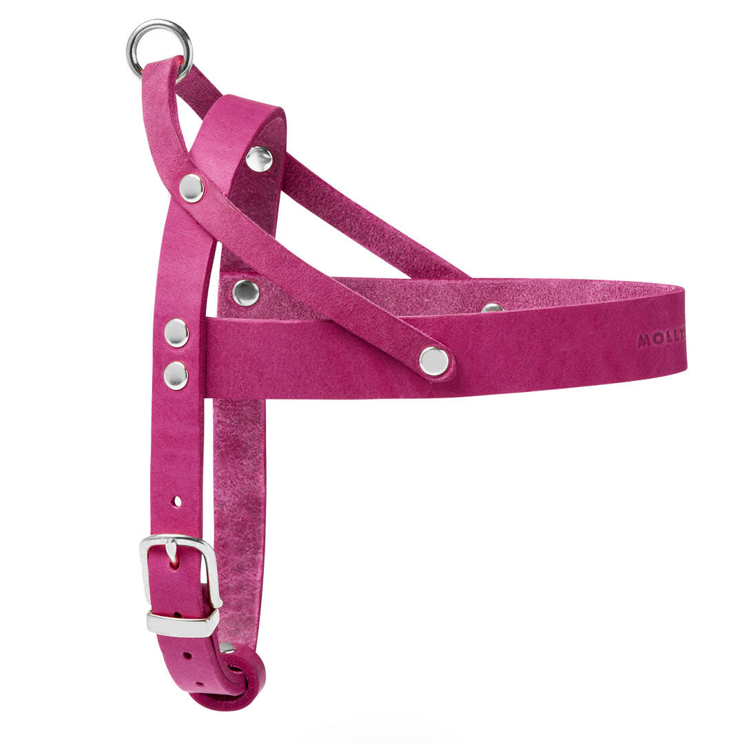 Butter Leder Hundegeschirr - Flamingo