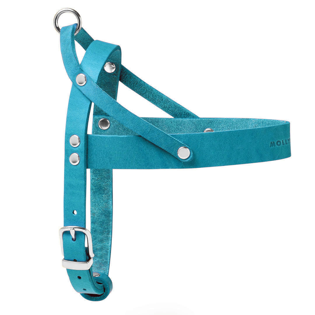 Butter Leder Hundegeschirr - Fiji Blau
