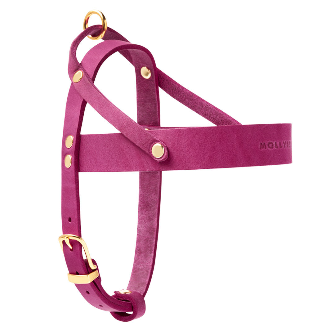 Butter Leder Hundegeschirr - Flamingo