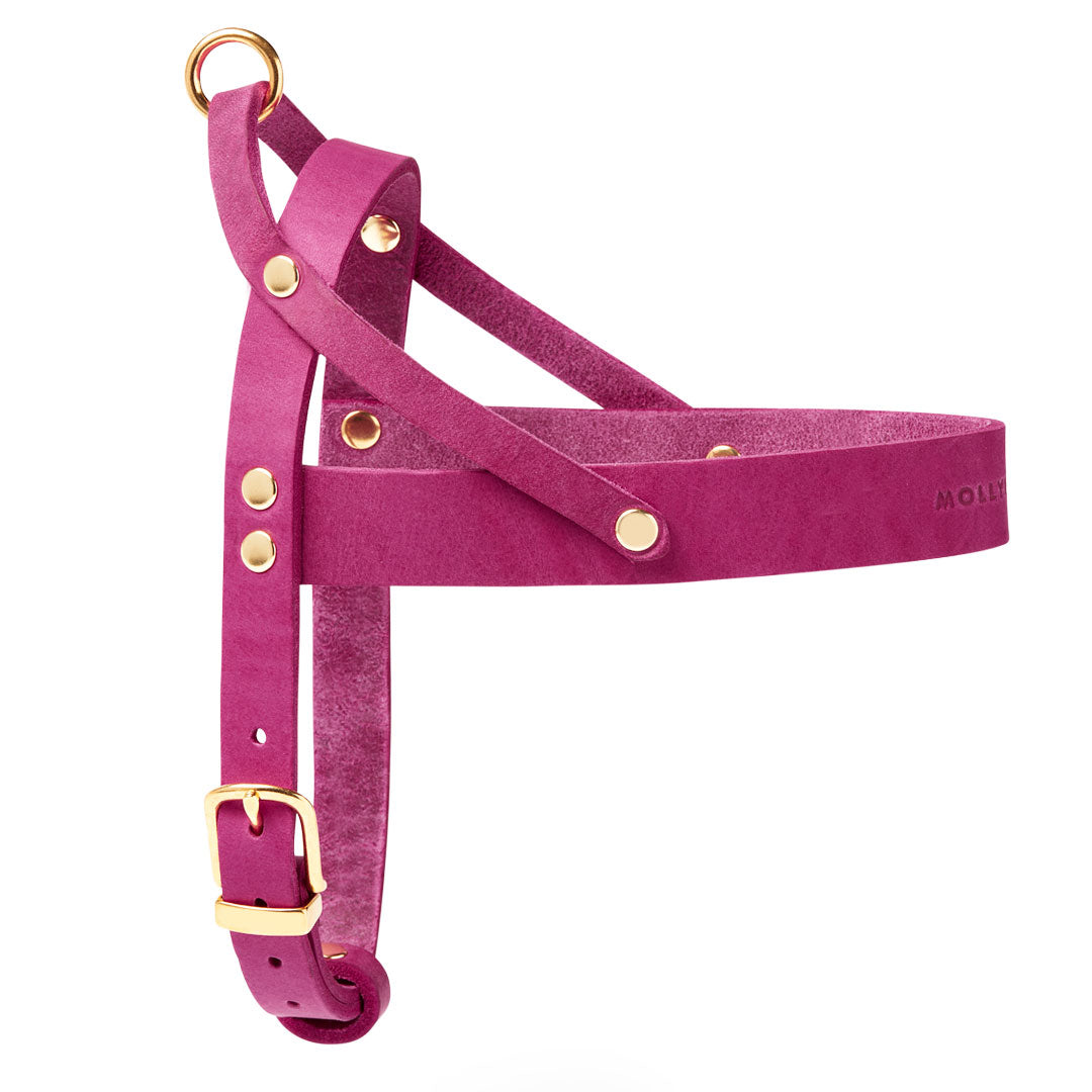 Butter Leder Hundegeschirr - Flamingo