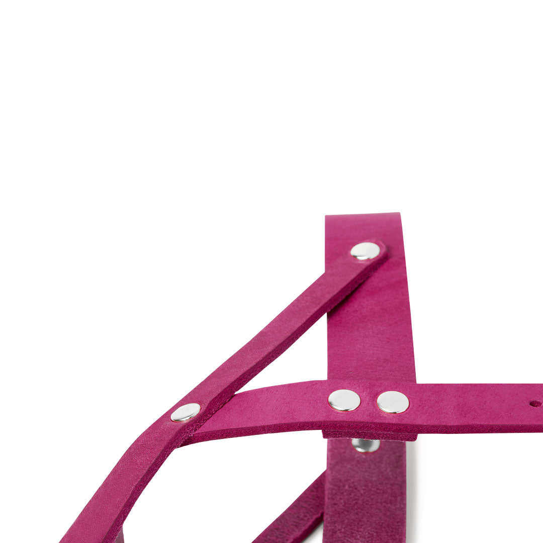 Butter Leder Hundegeschirr - Flamingo