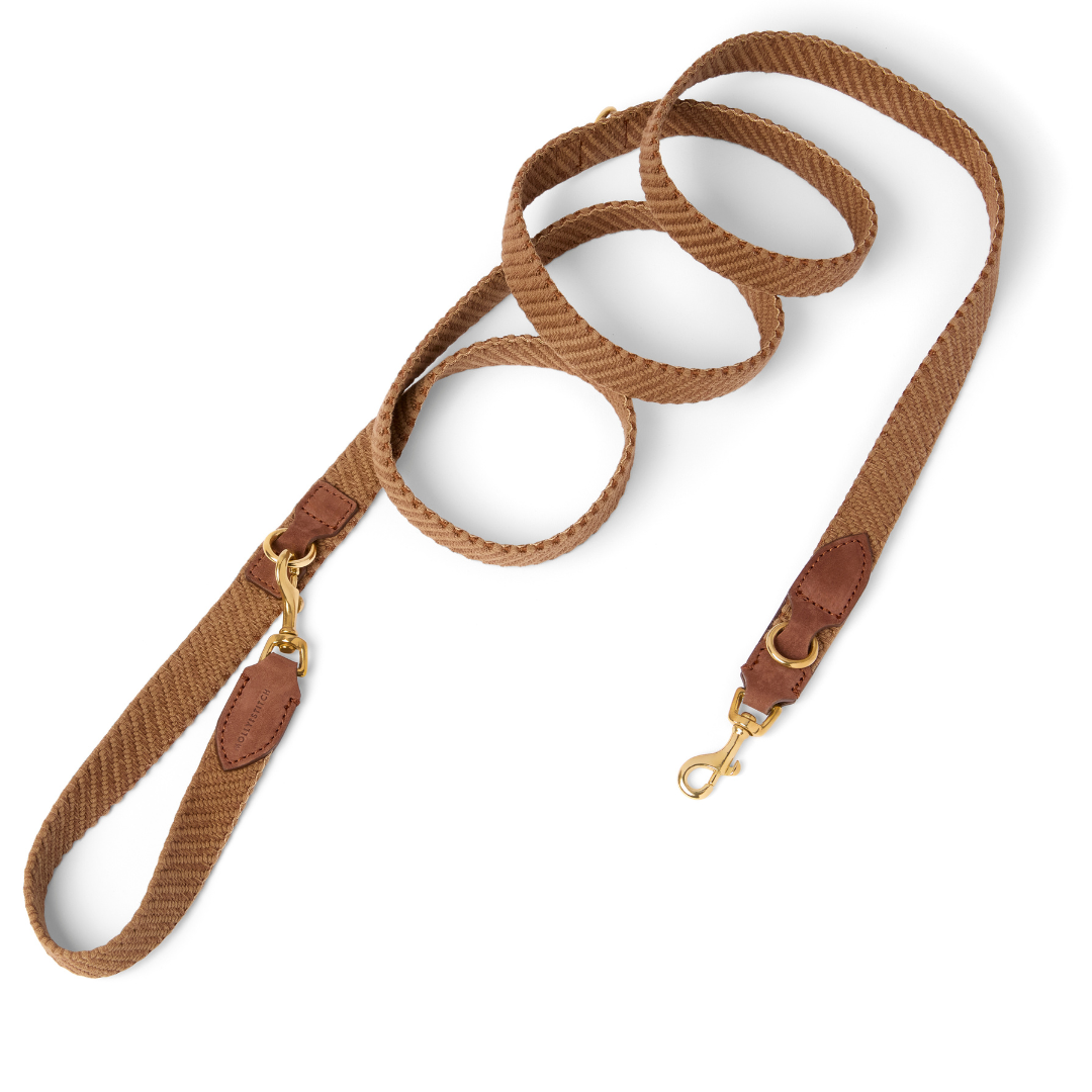 Serrana 3x verstellbare Hundeleine - Whiskey