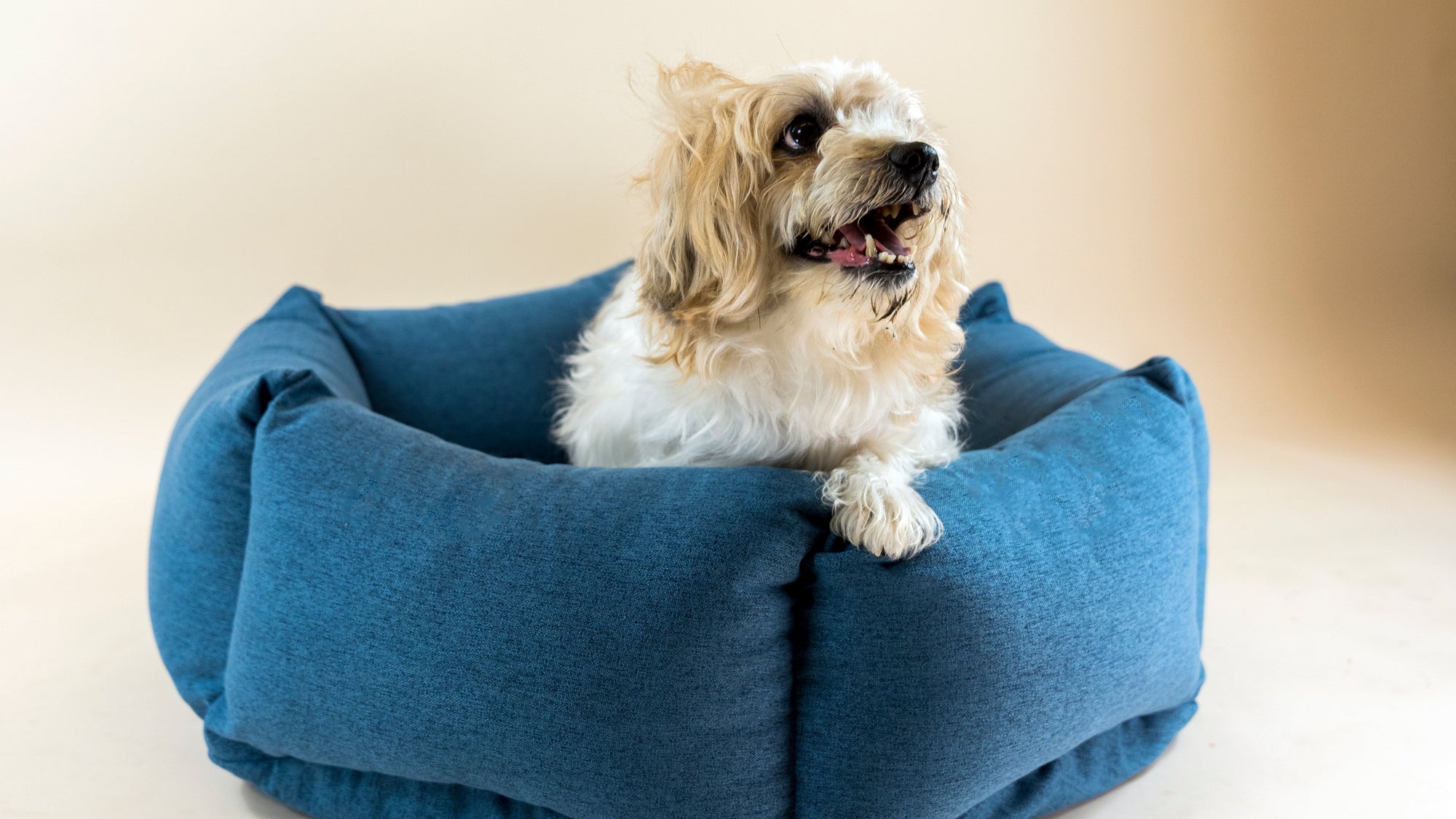The Nest - Hundebett Flamingo Pink