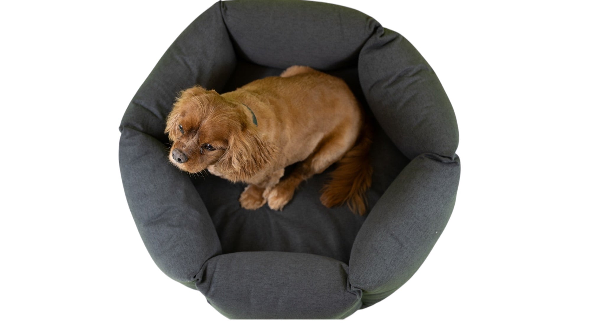 The Nest - Hundebett Flamingo Pink