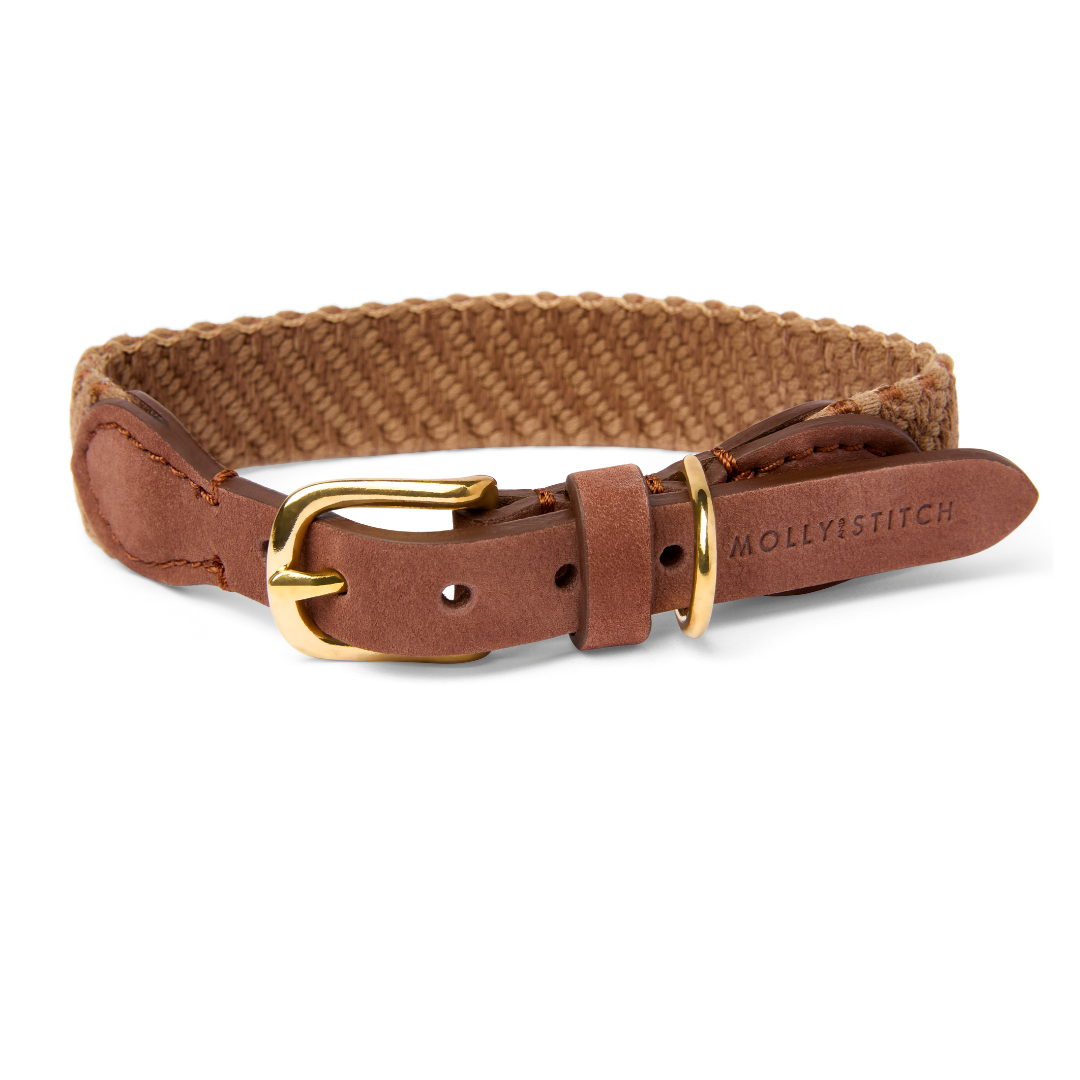 Serrana Hundehalsband - Whisky