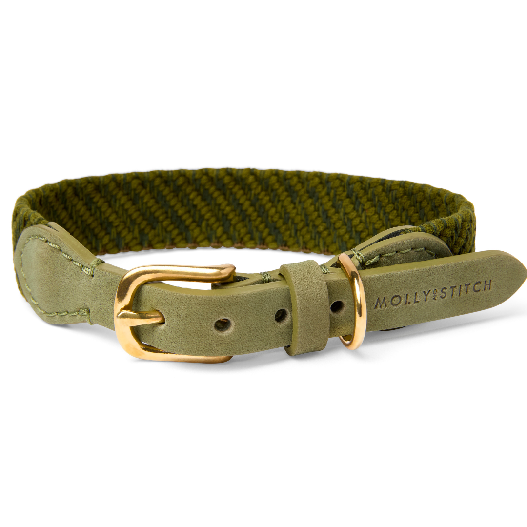 Serrana Hundehalsband - Moos