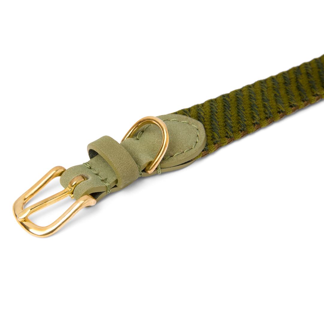 Serrana Hundehalsband - Moos