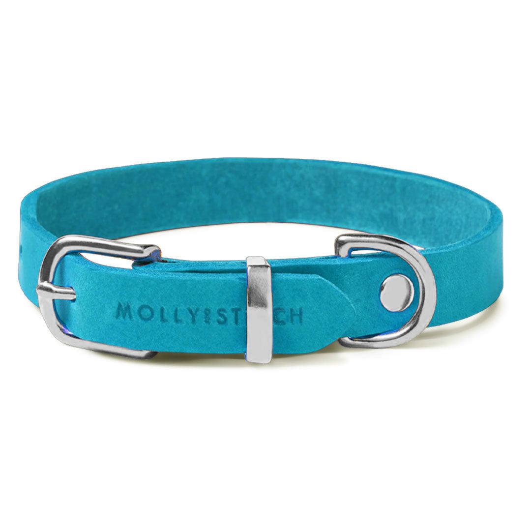 Butter Leder Hundehalsband - Fiji Blau
