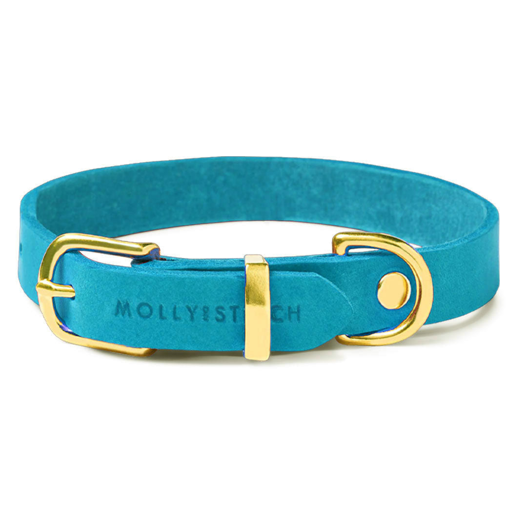 Butter Leder Hundehalsband - Fiji Blau