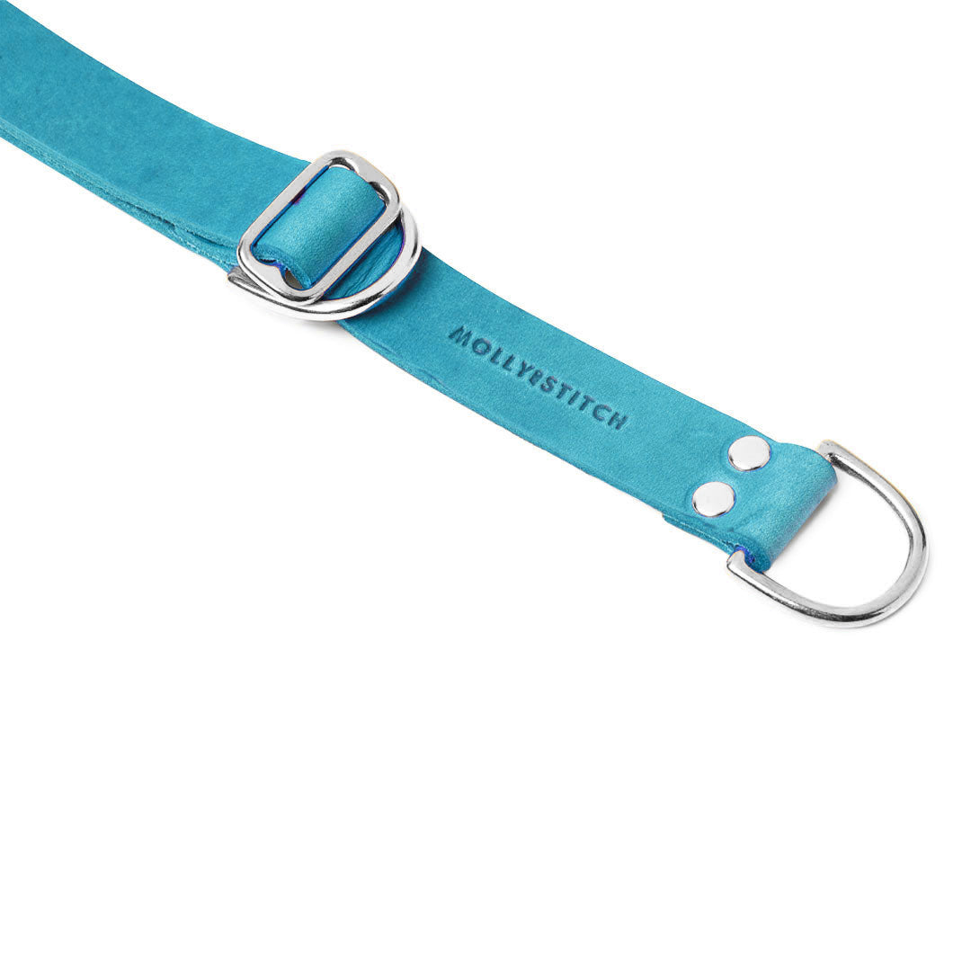 Collier en cuir Butter pour chien retriever - Bleu Fidji