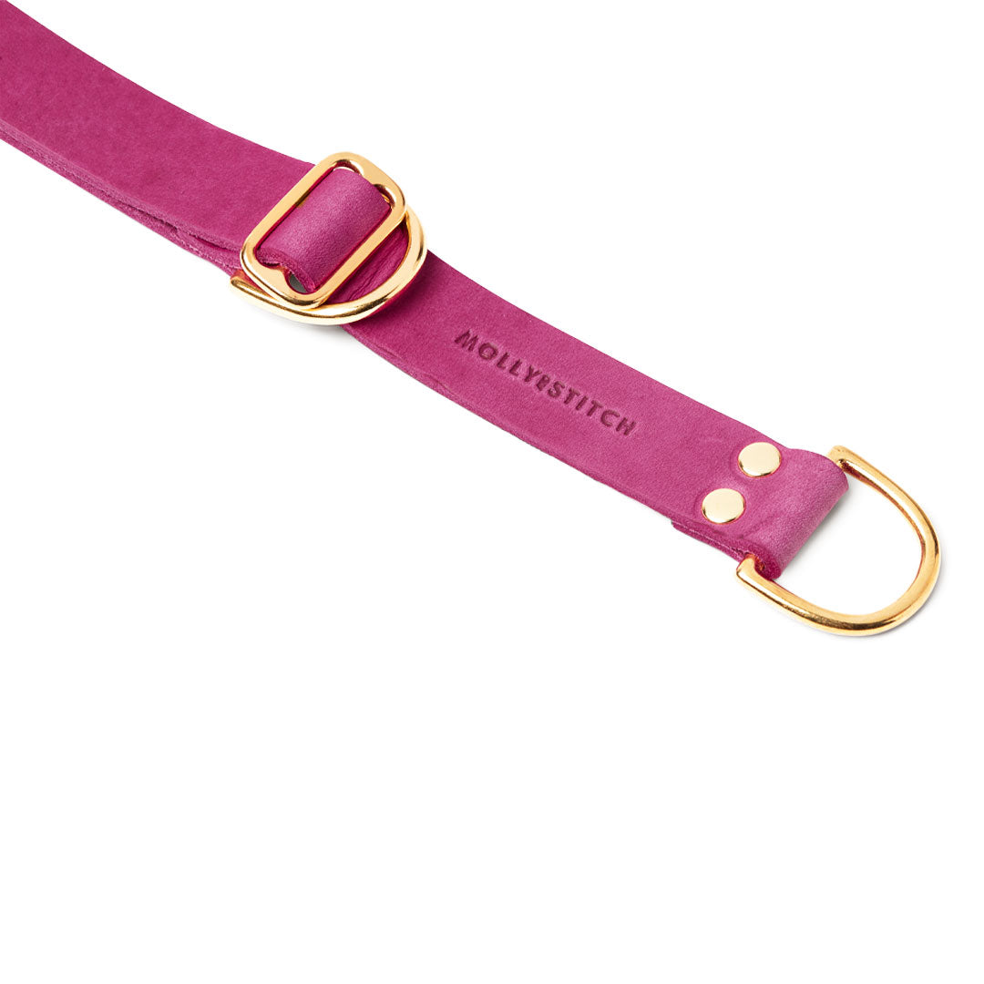 Butter Leather Retriever Hundehalsband - Flamingo