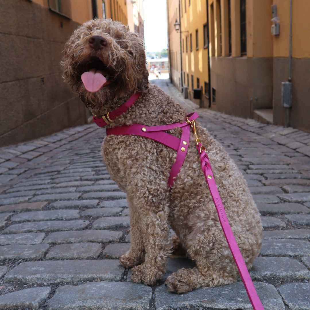 Butter Leder Hundegeschirr - Flamingo