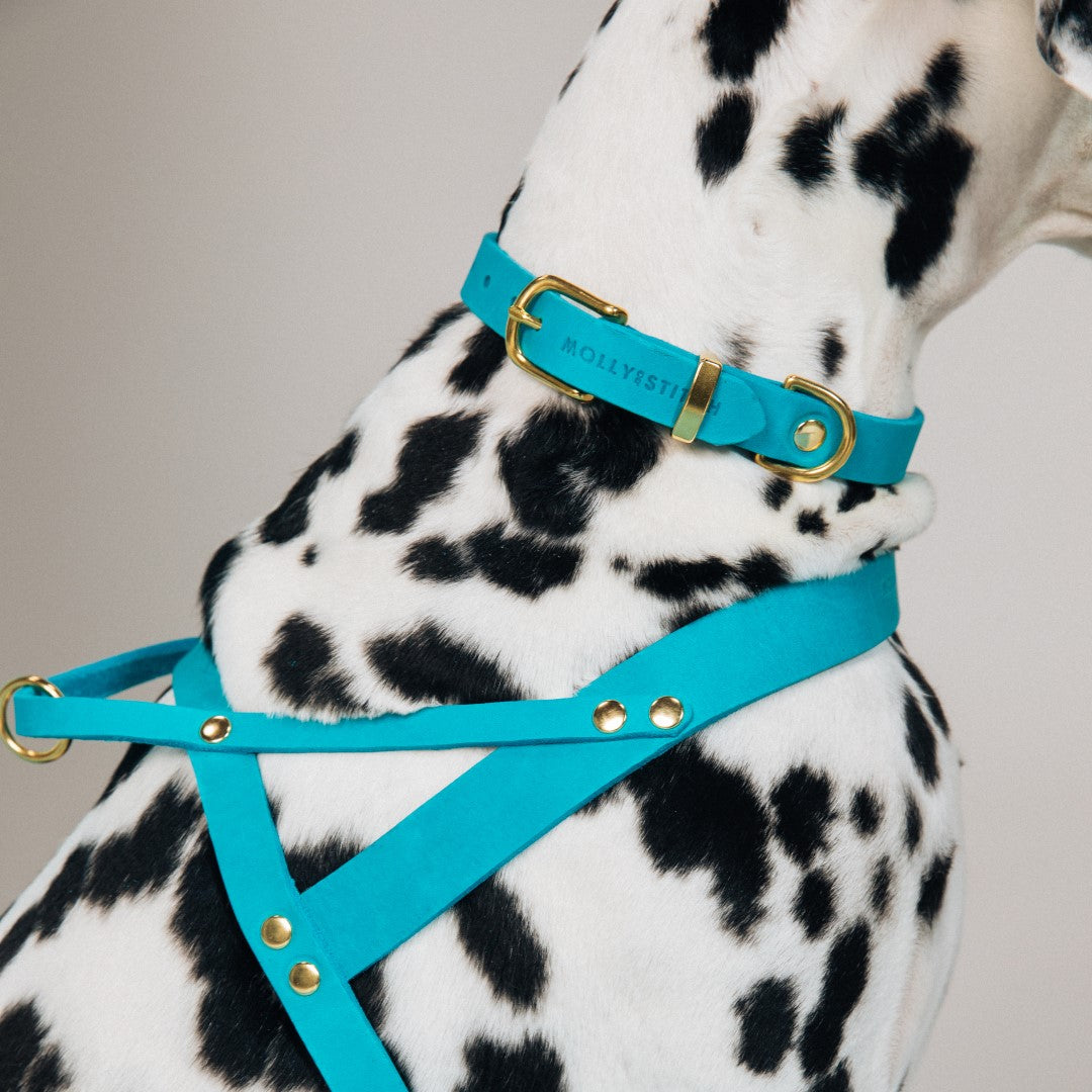 Butter Leder Hundegeschirr - Fiji Blau