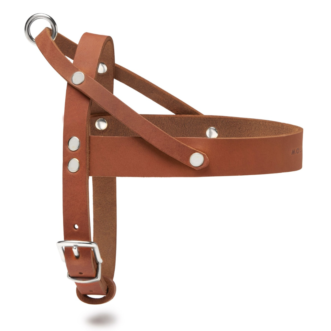 Butter Leder Hundegeschirr - Sahara Cognac