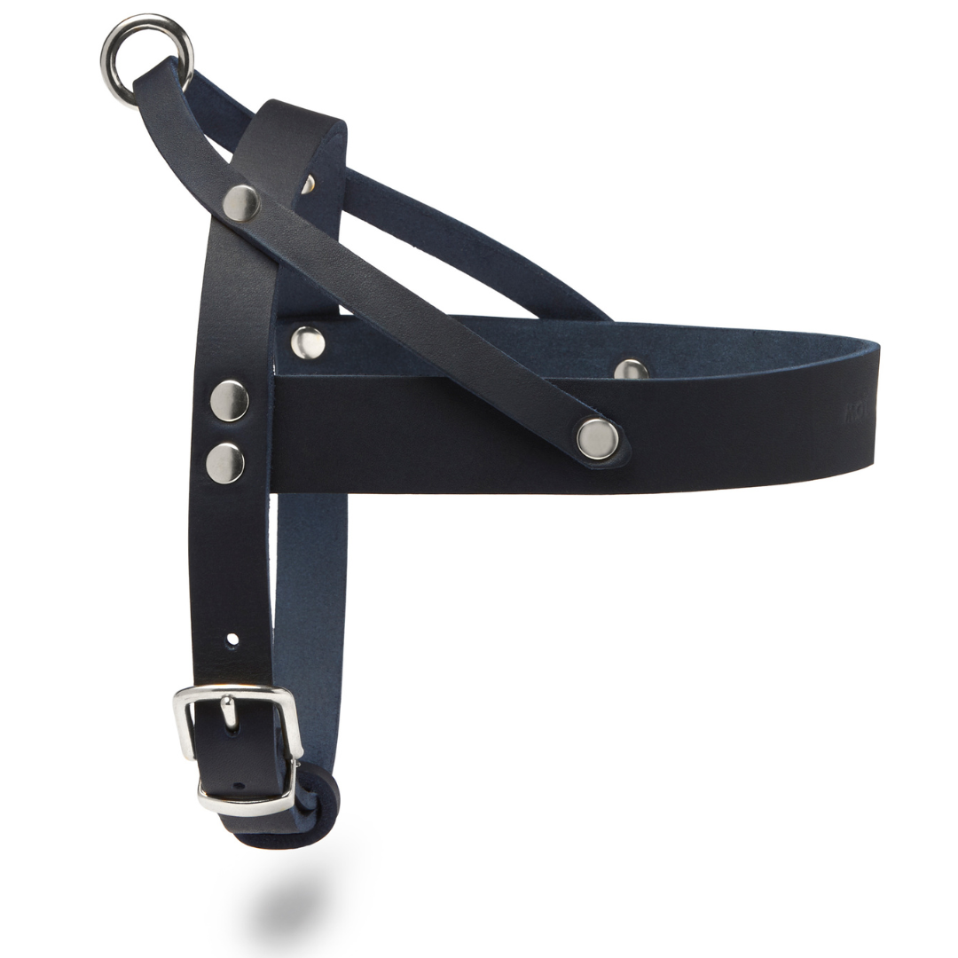 Butter Leder Hundegeschirr - Navy Blau