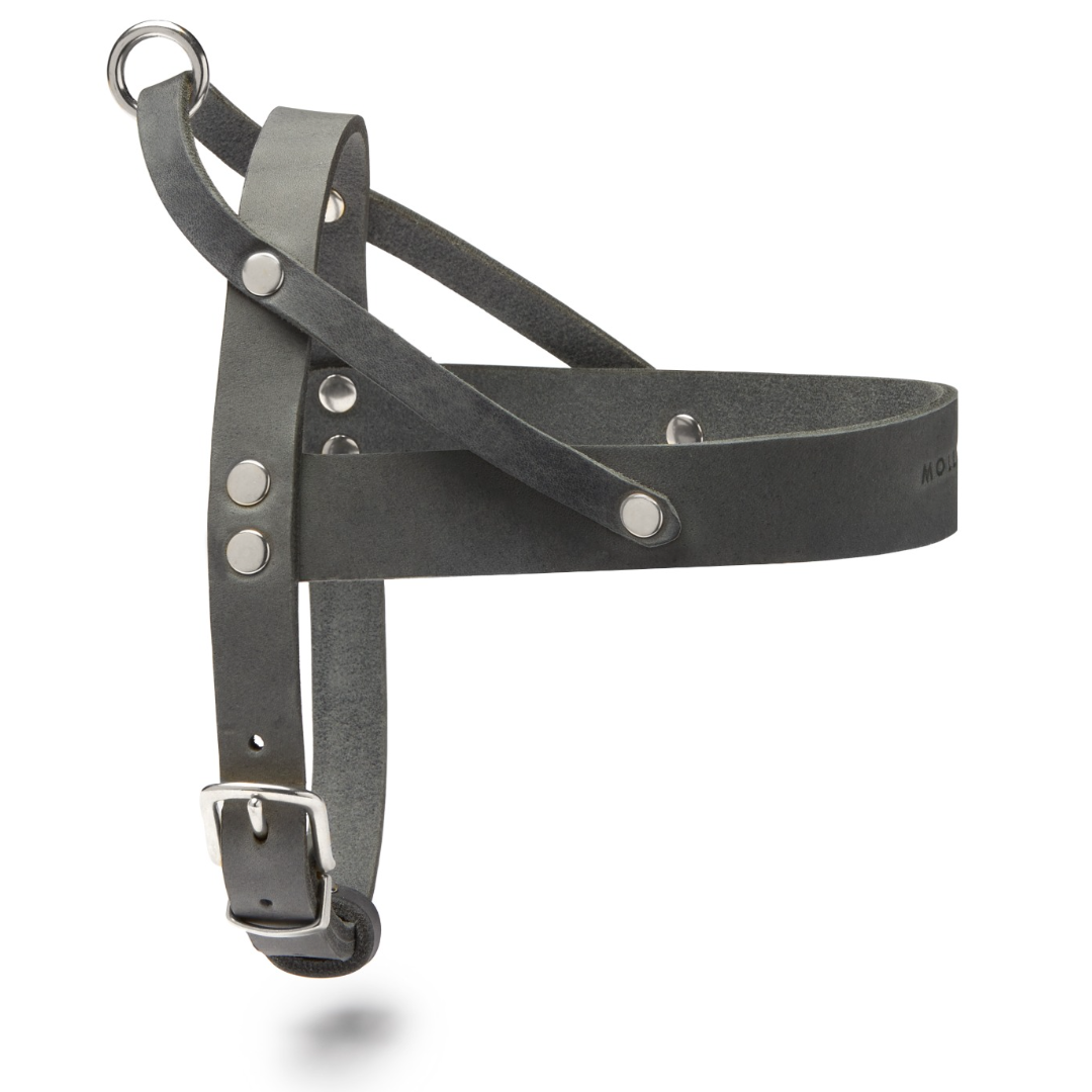 Butter Leder Hundegeschirr - Zeitloses Grau