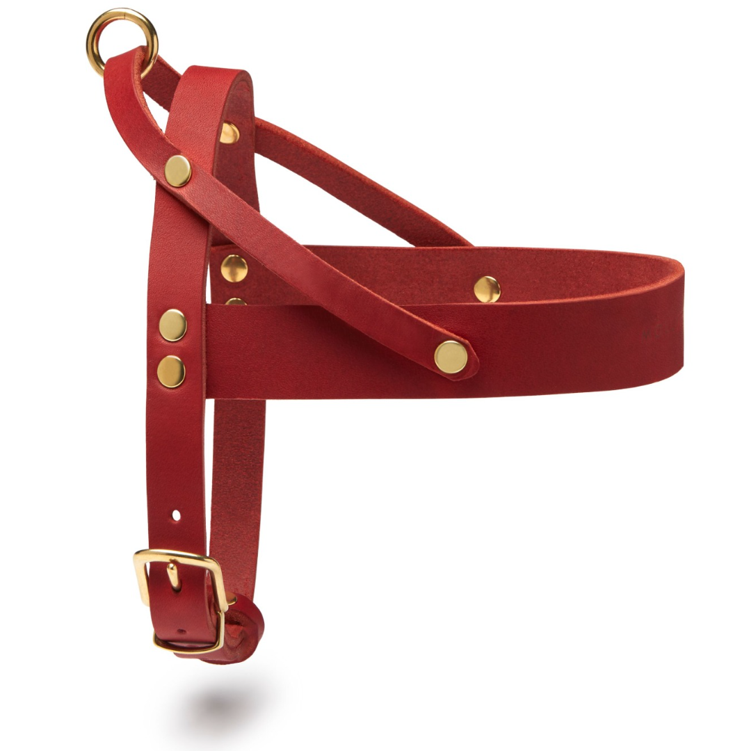 Butter Leder Hundegeschirr - Chili Rot