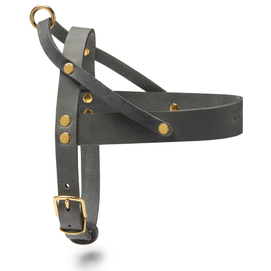 Butter Leder Hundegeschirr - Zeitloses Grau