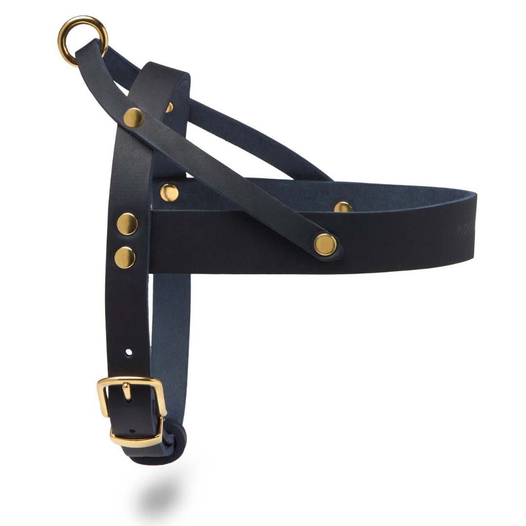 Butter Leder Hundegeschirr - Navy Blau