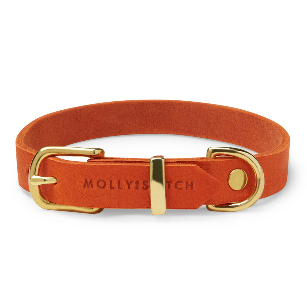 Collier pour chien en cuir beurre - Mangue