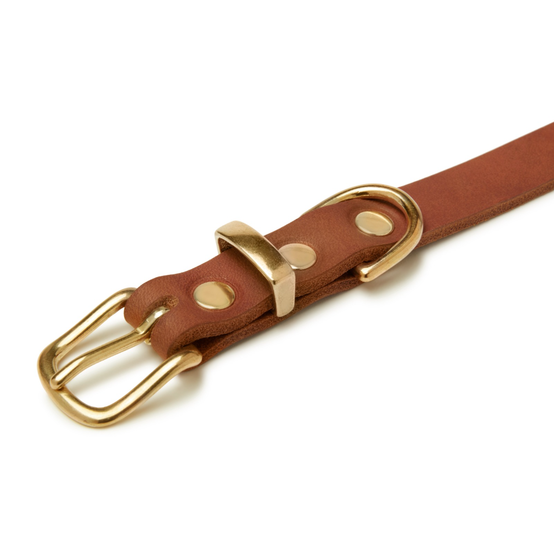 Butterleder Hundehalsband - Sahara Cognac