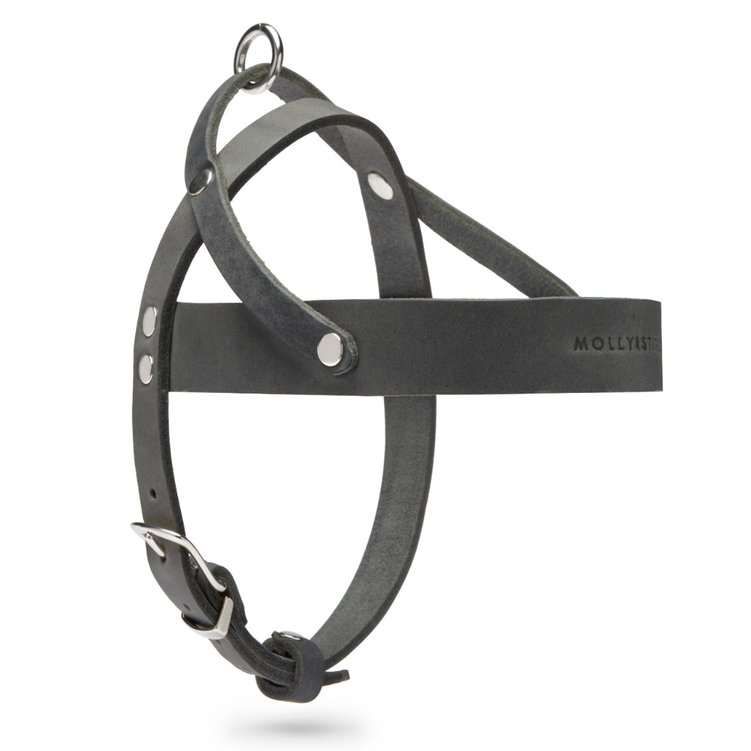 Butter Leder Hundegeschirr - Zeitloses Grau