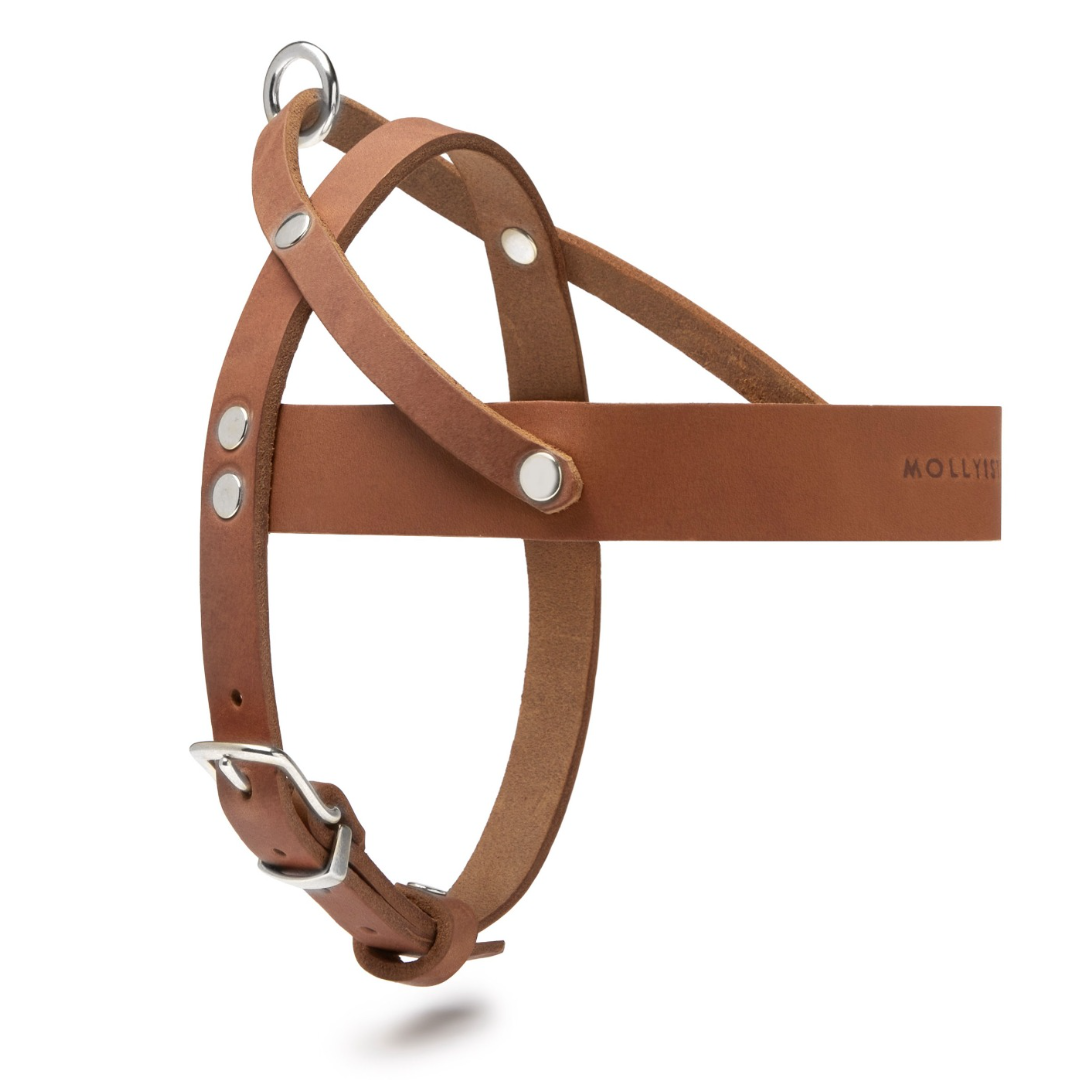 Butter Leder Hundegeschirr - Sahara Cognac