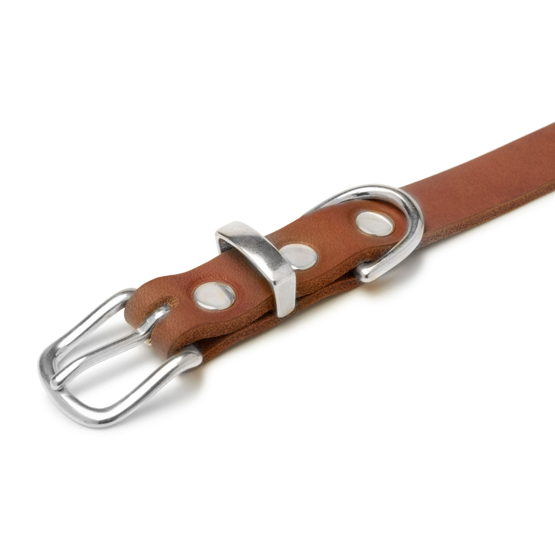 Butterleder Hundehalsband - Sahara Cognac