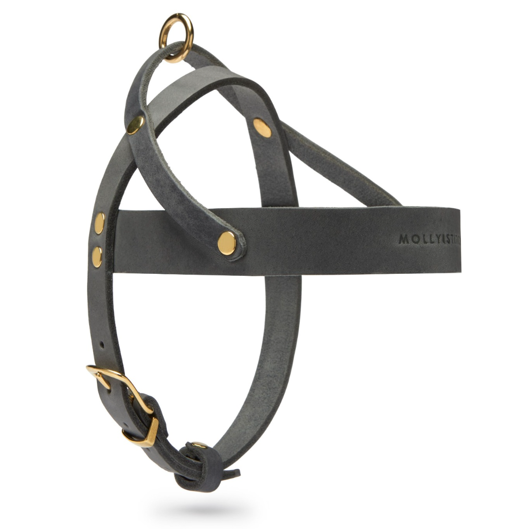 Butter Leder Hundegeschirr - Zeitloses Grau