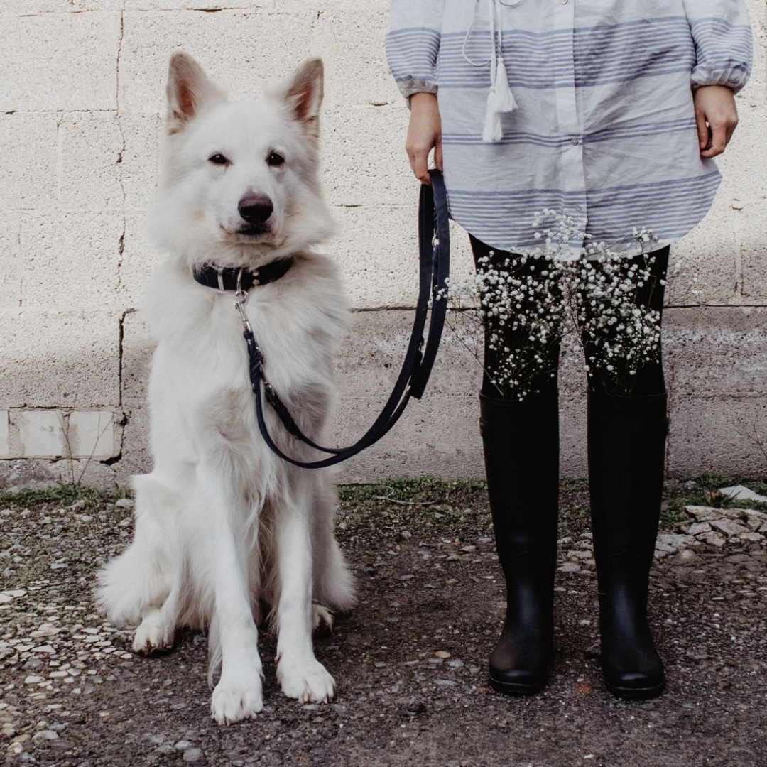 Butter Leder Hundehalsband -Navy Blau