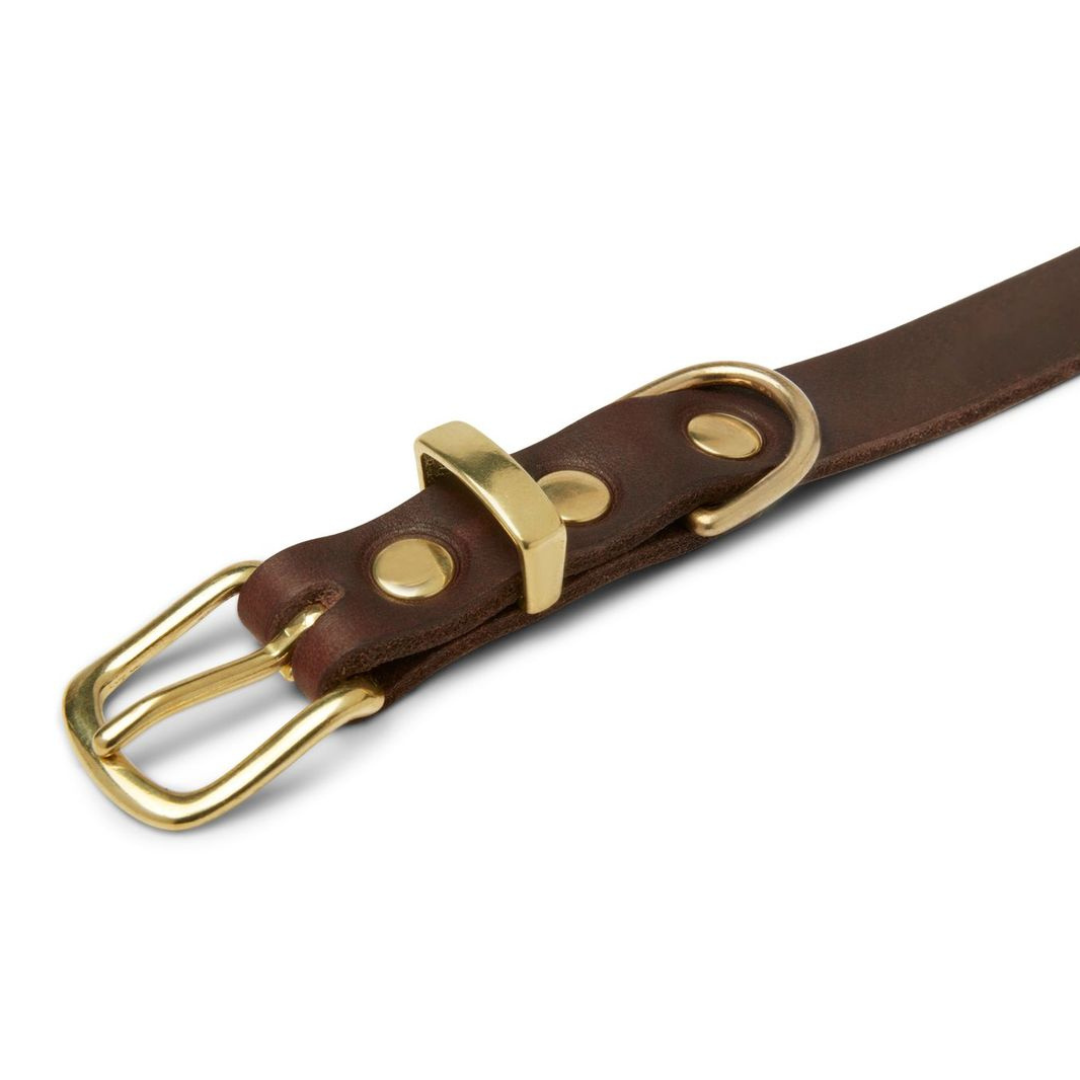 Butter Leder Hundehalsband - Klassisch Braun