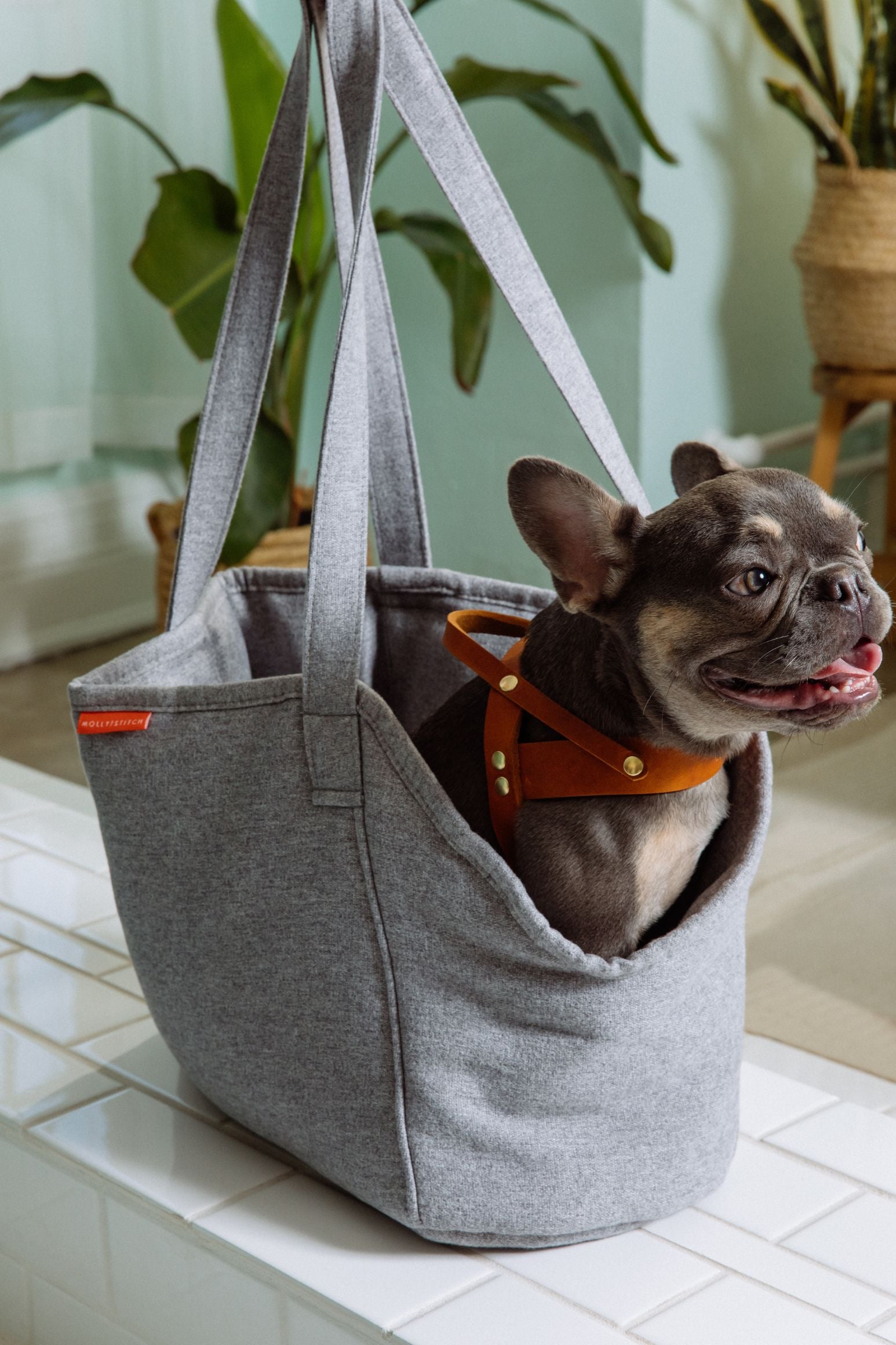 Alpine Hundetragetasche - Grau
