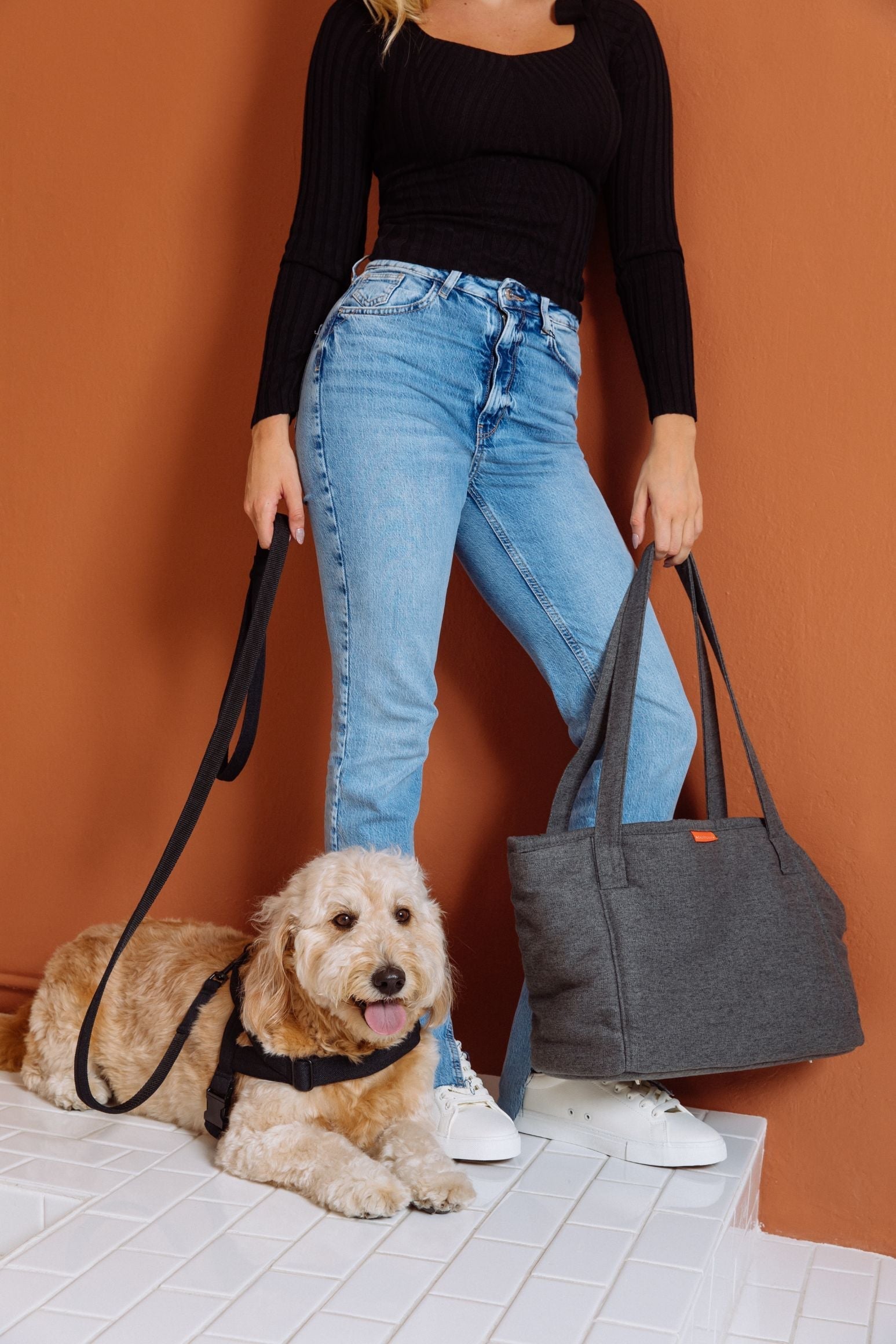 Sac de transport pour chien Alpine - Anthrazit