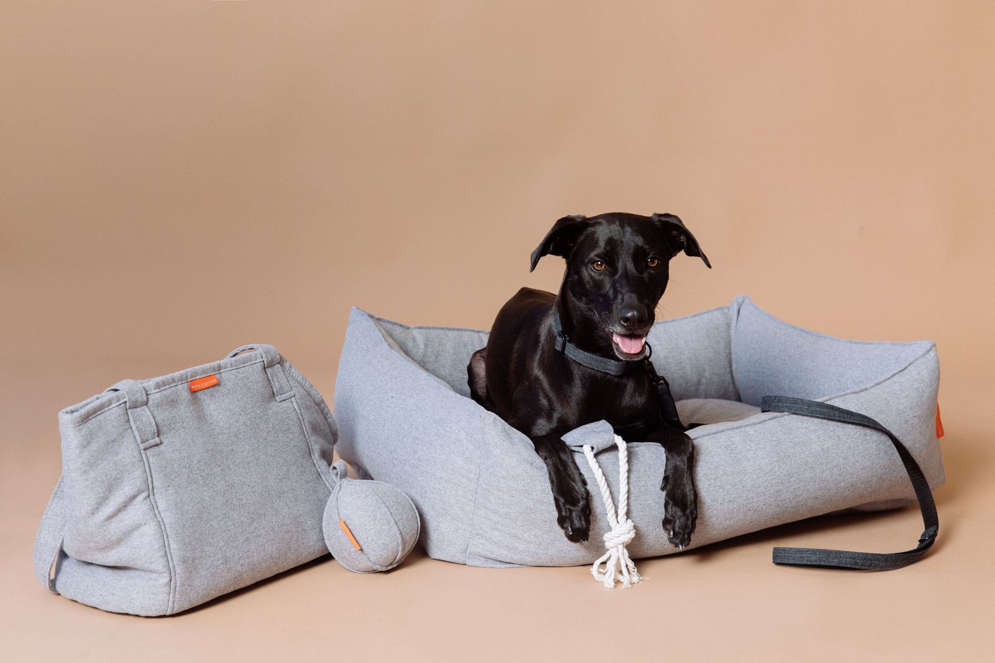 Alpine Hundetragetasche - Grau