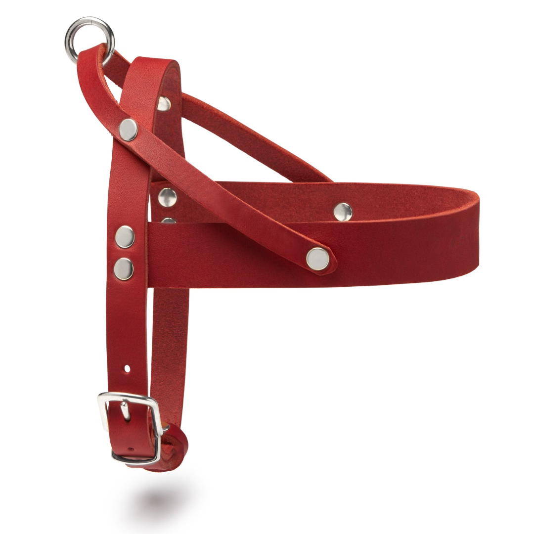 Butter Leder Hundegeschirr - Chili Rot