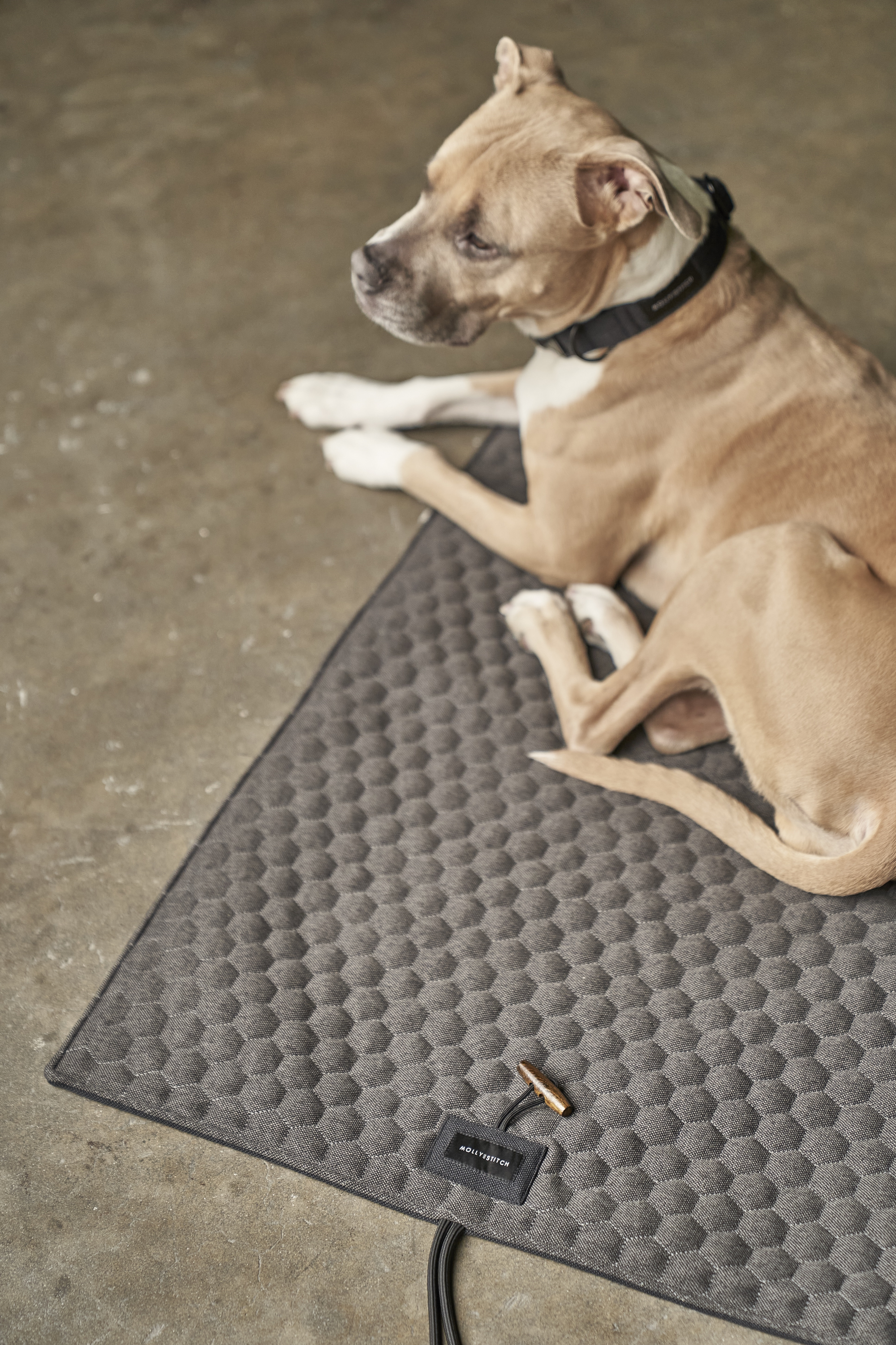Honeycomb Hunde-Reisematte - Grau