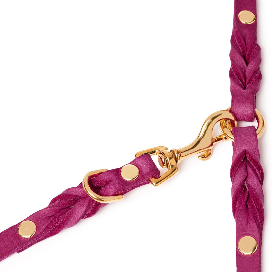 Butter Leather 3x verstellbare Hundeleine - Flamingo