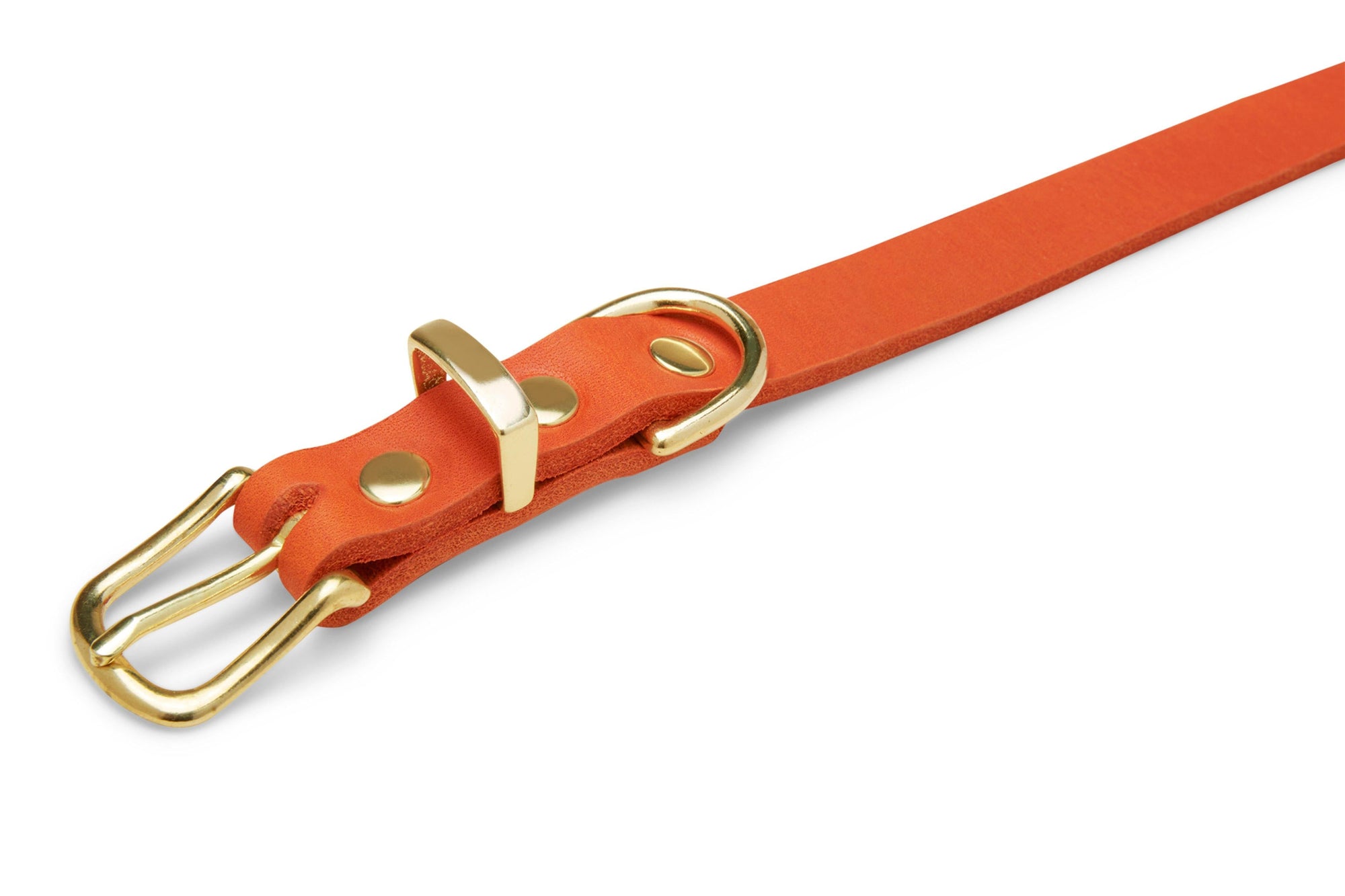 Butter Leather Dog Collar - Mango - Molly and Stitch GmbH