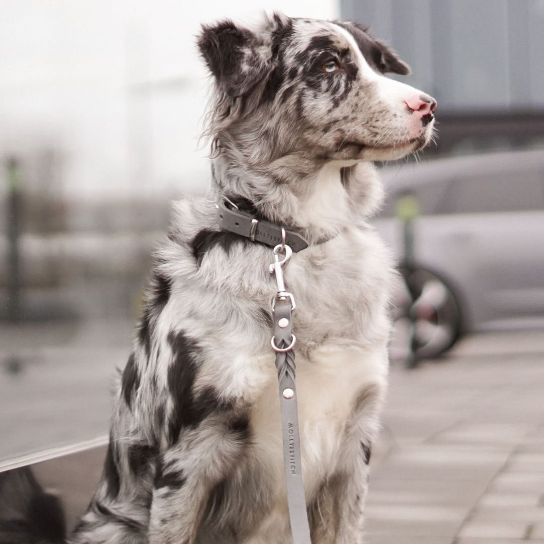 Butter Leder Hundehalsband - Zeitloses Grau